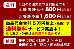 全国送料一律500円(税抜き)、納期は最短で2日(商品・配送地域限定)