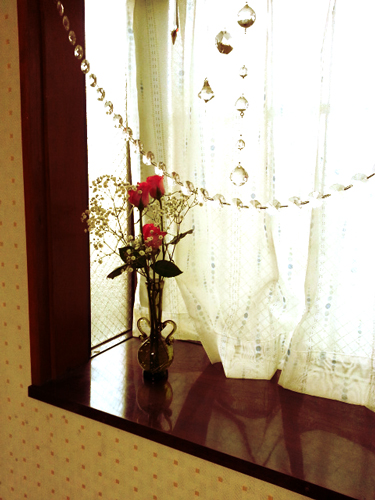 自室の花