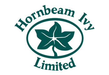 Hornbeam Ivy（ホーンビーム・アイビー）