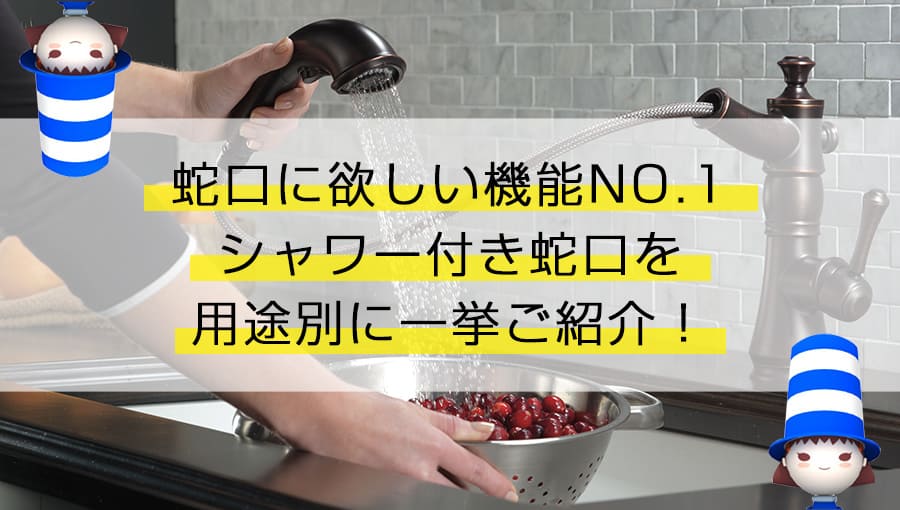 簡単＆便利！キッチン蛇口にシャワー機能を付ける方法