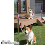 設置イメージパピースタンドブラウンデザイン１