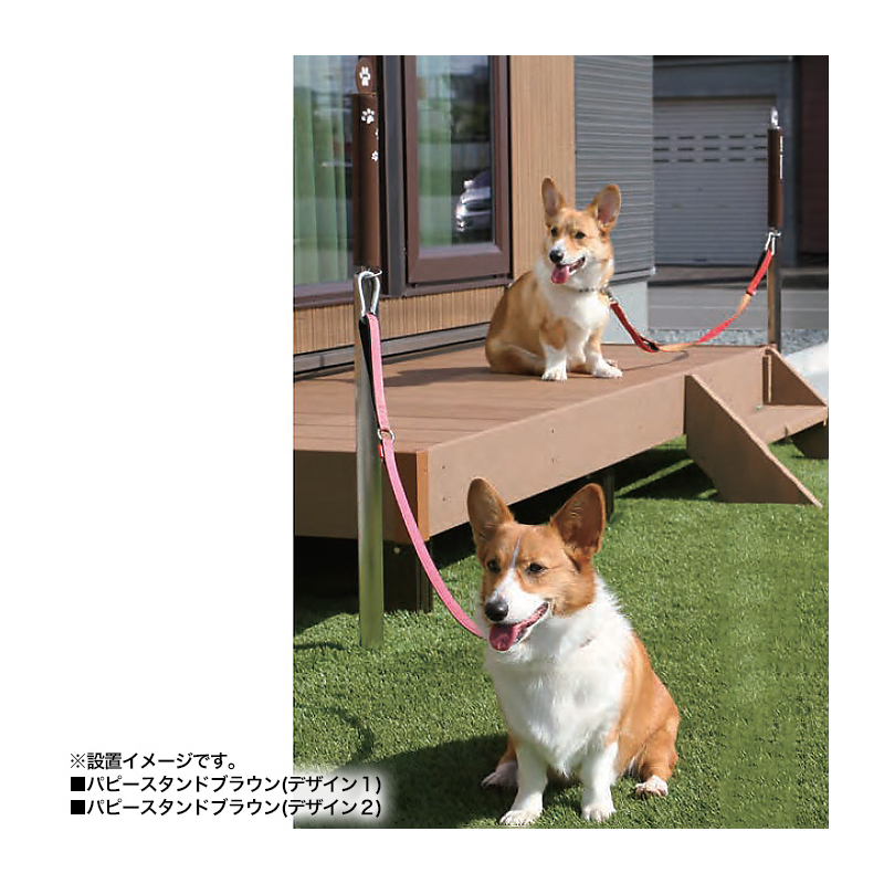 設置イメージパピースタンドブラウンデザイン１