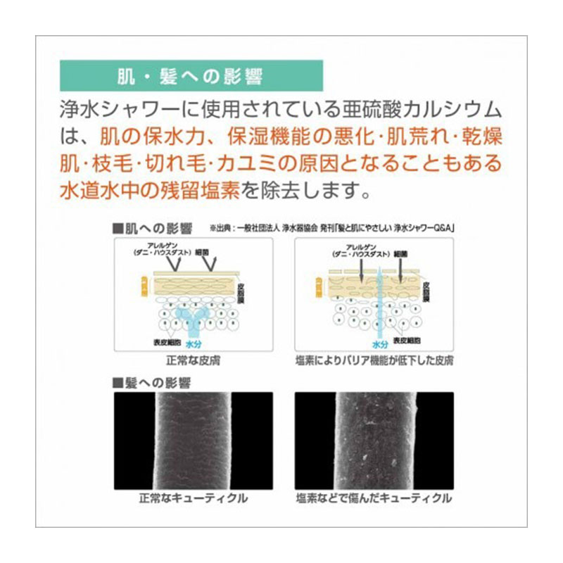 浄水効果についての説明